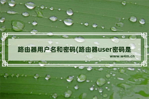 路由器用户名和密码(路由器user密码是啥)