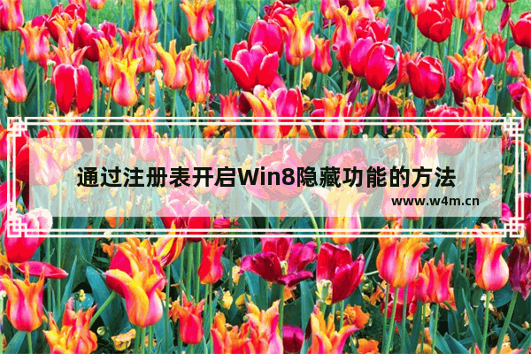 通过注册表开启Win8隐藏功能的方法