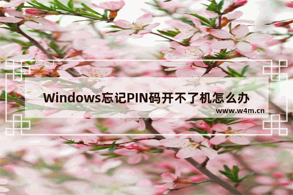 Windows忘记PIN码开不了机怎么办？解决方法详解！