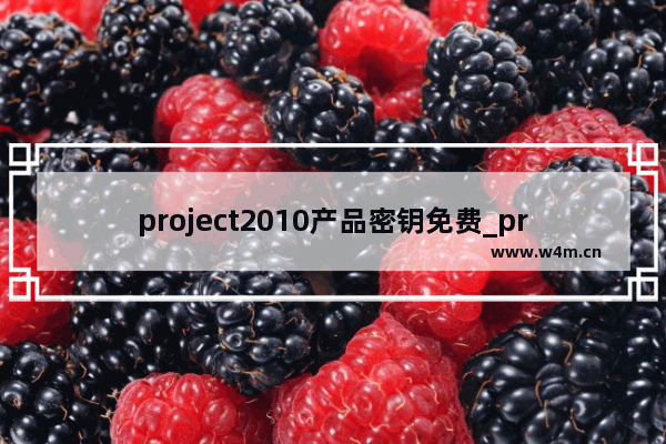 project2010产品密钥免费_project2010激活密钥永久激活码