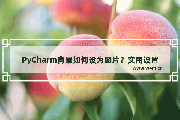 PyCharm背景如何设为图片？实用设置教程你值得拥有