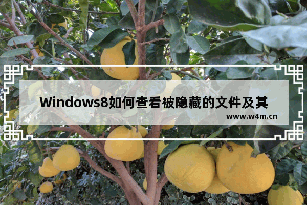 Windows8如何查看被隐藏的文件及其位置