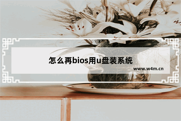 怎么再bios用u盘装系统