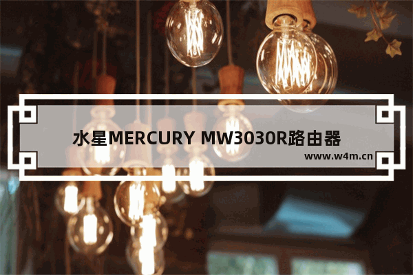 水星MERCURY MW3030R路由器管理员默认密码是什么？