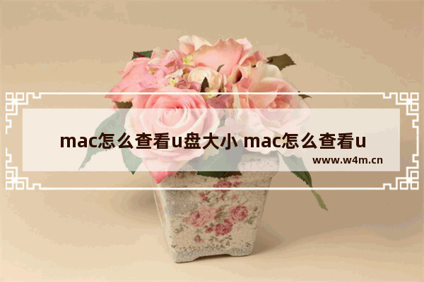 mac怎么查看u盘大小 mac怎么查看u盘格式