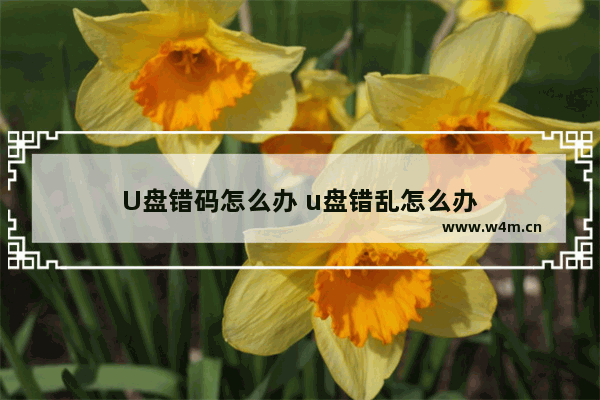 U盘错码怎么办 u盘错乱怎么办