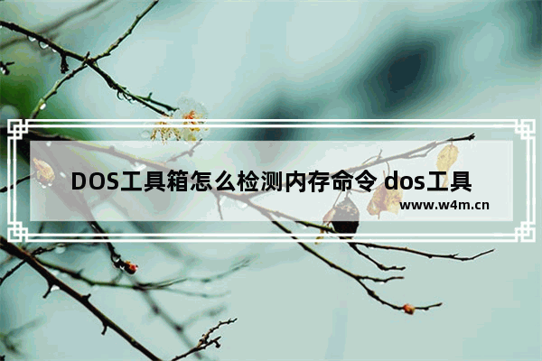 DOS工具箱怎么检测内存命令 dos工具箱检测硬盘坏道