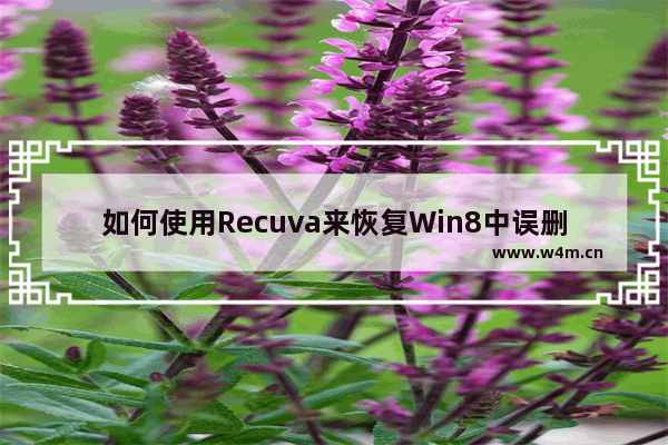 如何使用Recuva来恢复Win8中误删除的文件