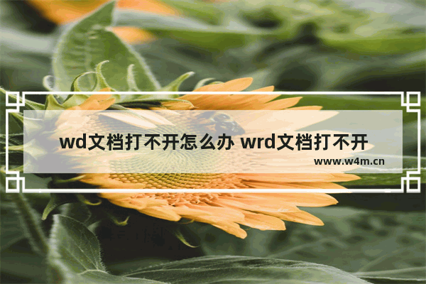 wd文档打不开怎么办 wrd文档打不开