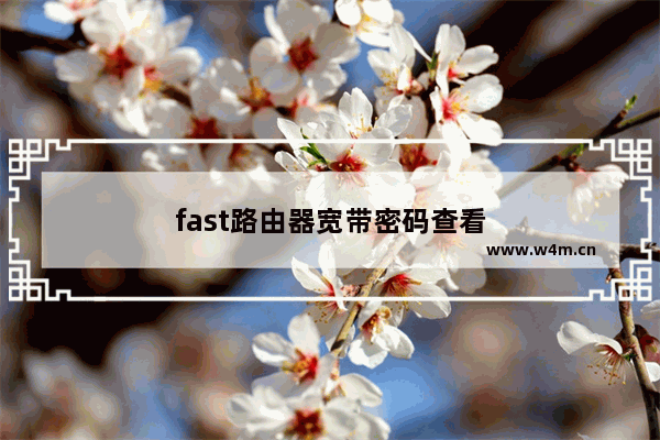 fast路由器宽带密码查看