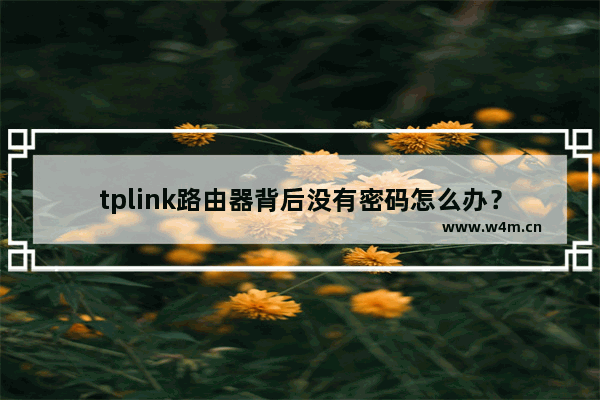 tplink路由器背后没有密码怎么办？