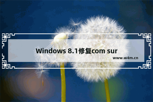 Windows 8.1修复com surrogate已停止工作的问题