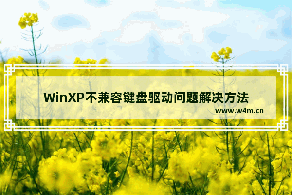 WinXP不兼容键盘驱动问题解决方法