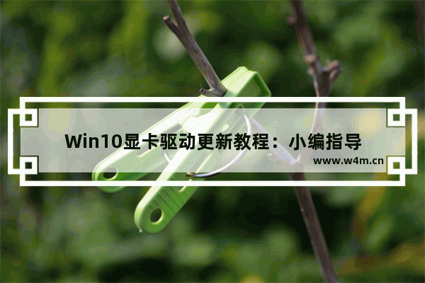 Win10显卡驱动更新教程：小编指导