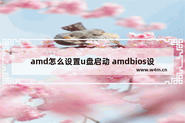 amd怎么设置u盘启动 amdbios设置u盘启动