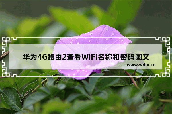 华为4G路由2查看WiFi名称和密码图文步骤