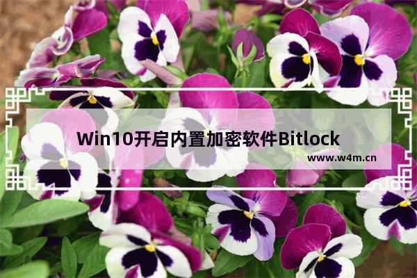 Win10开启内置加密软件Bitlocker的驱动器加密方法