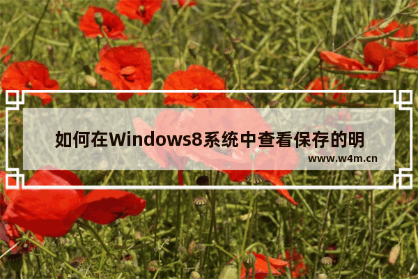 如何在Windows8系统中查看保存的明文密码