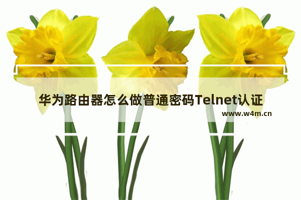 华为路由器怎么做普通密码Telnet认证