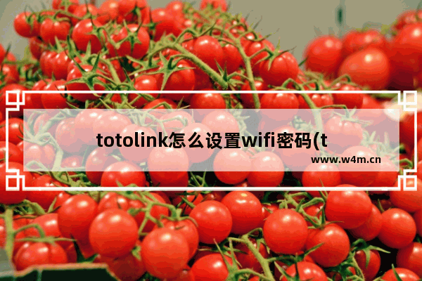 totolink怎么设置wifi密码(toto路由器怎么设置无线网络)