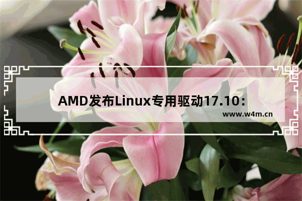 AMD发布Linux专用驱动17.10：支持Ubuntu 16.04.2并修复BUG