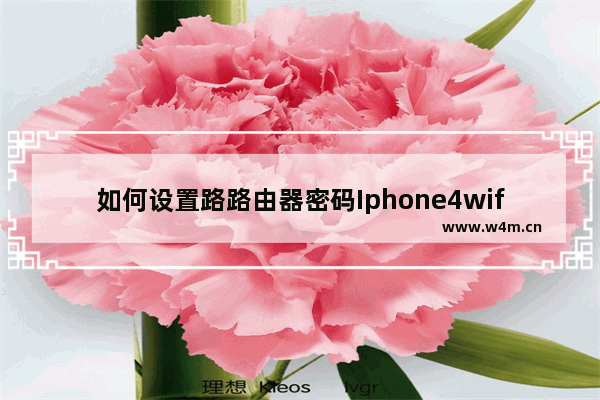 如何设置路路由器密码Iphone4wifi上网问题