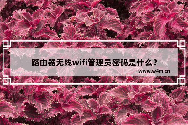 路由器无线wifi管理员密码是什么？