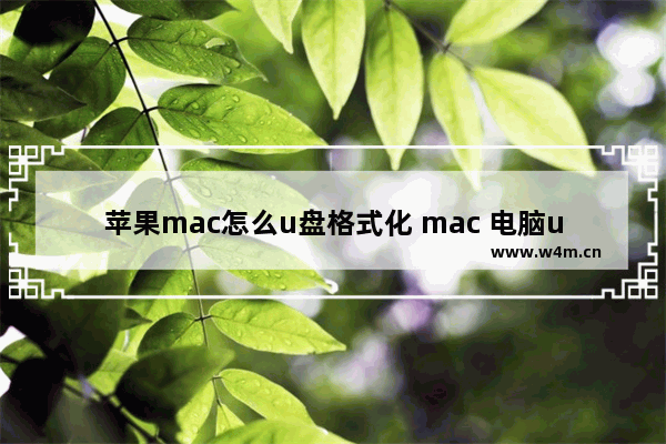 苹果mac怎么u盘格式化 mac 电脑u盘如何格式化硬盘