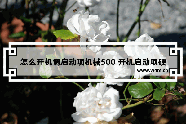 怎么开机调启动项机械500 开机启动项硬盘怎么设置