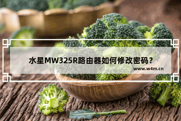 水星MW325R路由器如何修改密码？