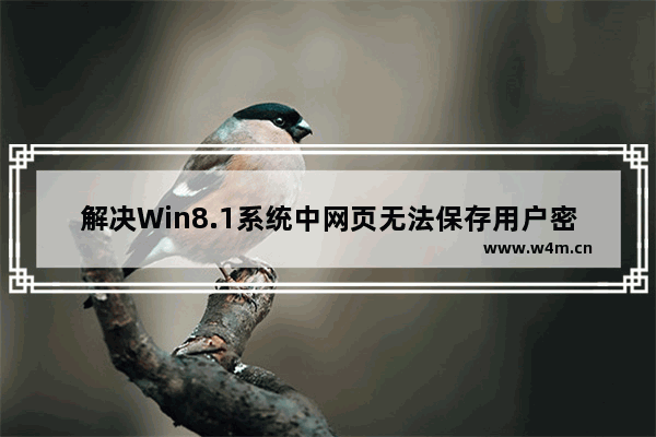 解决Win8.1系统中网页无法保存用户密码的问题