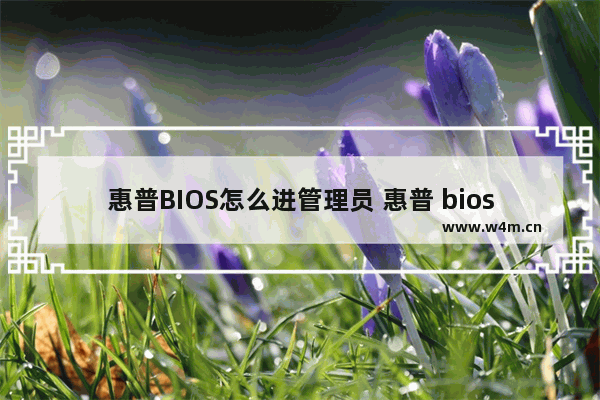 惠普BIOS怎么进管理员 惠普 bios怎么进