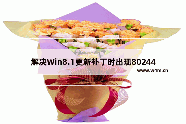 解决Win8.1更新补丁时出现8024402f错误的方法