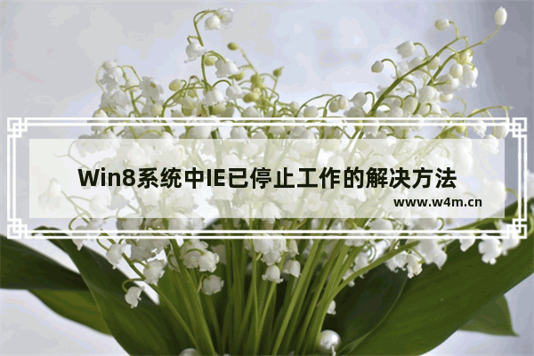 Win8系统中IE已停止工作的解决方法