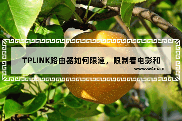 TPLINK路由器如何限速，限制看电影和下载