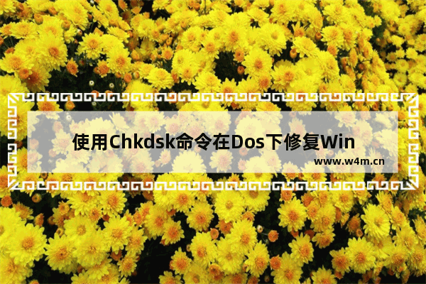 使用Chkdsk命令在Dos下修复Win8磁盘错误的方法