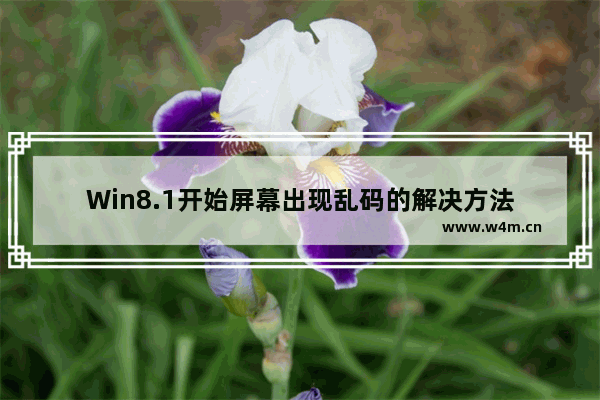 Win8.1开始屏幕出现乱码的解决方法