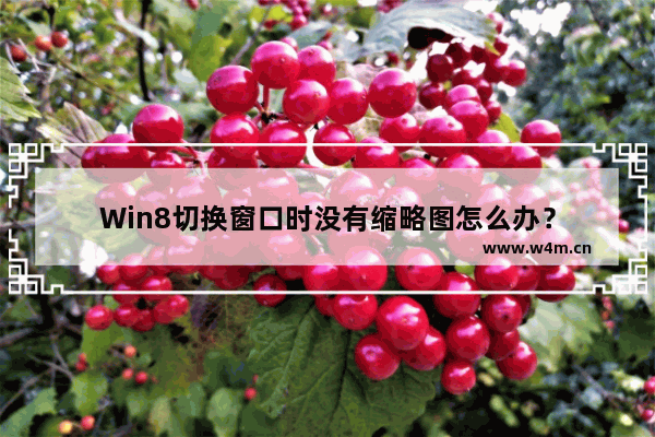 Win8切换窗口时没有缩略图怎么办？