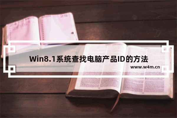 Win8.1系统查找电脑产品ID的方法