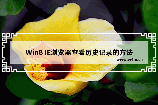 Win8 IE浏览器查看历史记录的方法