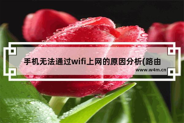 手机无法通过wifi上网的原因分析(路由器故障)