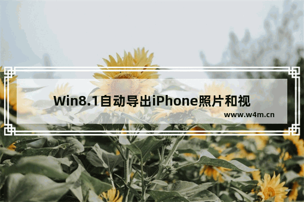 Win8.1自动导出iPhone照片和视频的技巧