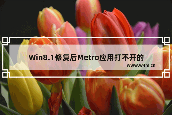 Win8.1修复后Metro应用打不开的解决方案