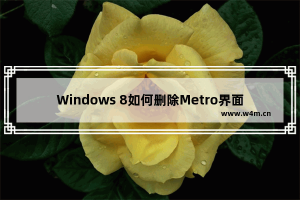 Windows 8如何删除Metro界面？