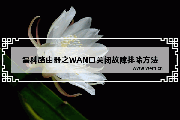 磊科路由器之WAN口关闭故障排除方法