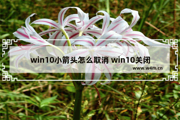 win10小箭头怎么取消 win10关闭小箭头