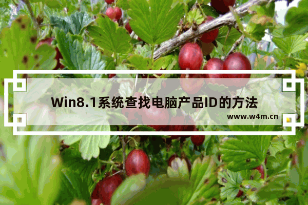 Win8.1系统查找电脑产品ID的方法