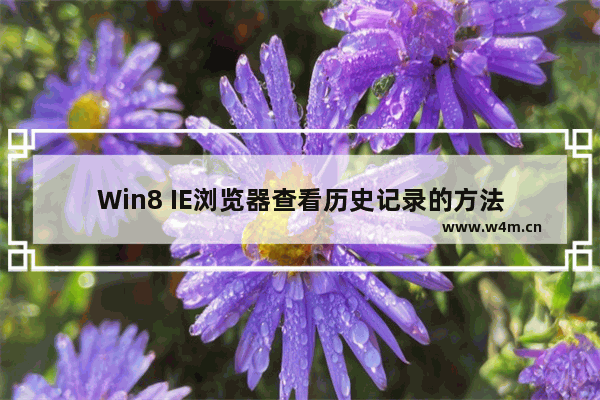 Win8 IE浏览器查看历史记录的方法