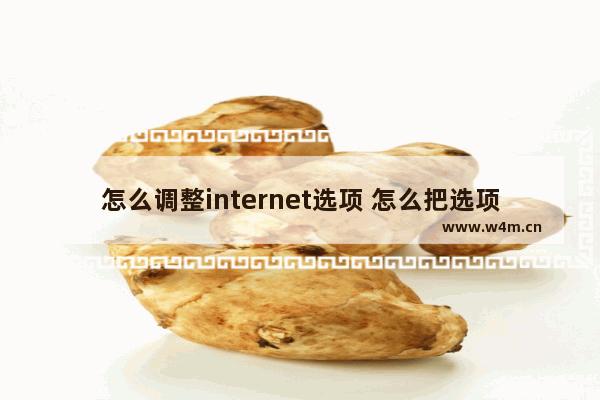 怎么调整internet选项 怎么把选项调整齐