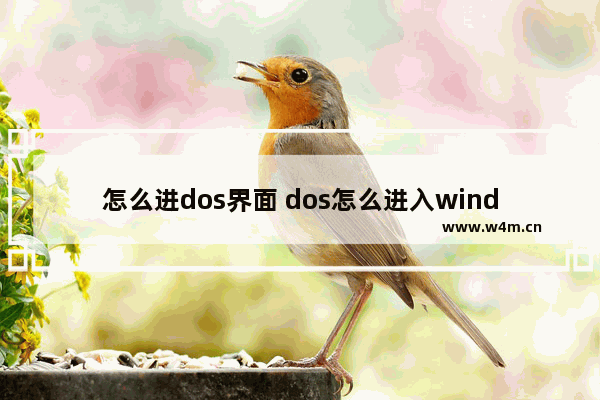 怎么进dos界面 dos怎么进入windows